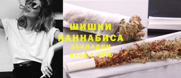 дурь Гусиноозёрск