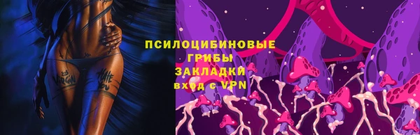 сатива Гусь-Хрустальный