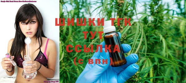соль ск Вяземский