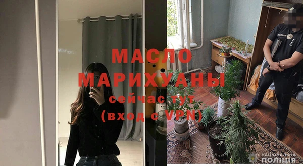 сатива Гусь-Хрустальный