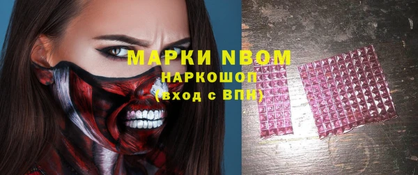 соль ск Вяземский