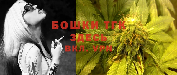 дурь Гусиноозёрск
