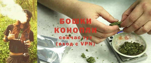 дурь Гусиноозёрск