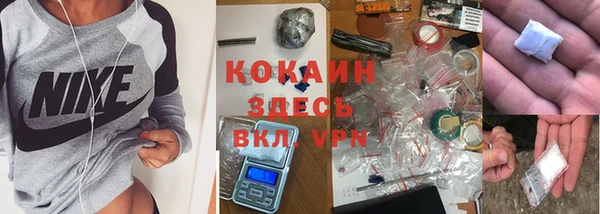 прущие крисы Вязьма