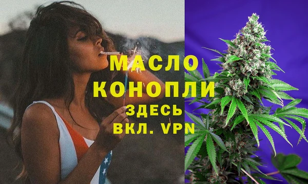 соль ск Вяземский