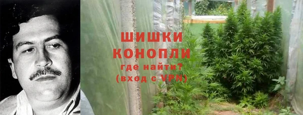 соль ск Вяземский